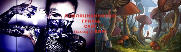 спиды Верея