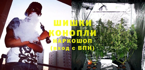 спиды Верея
