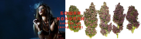 спиды Верея